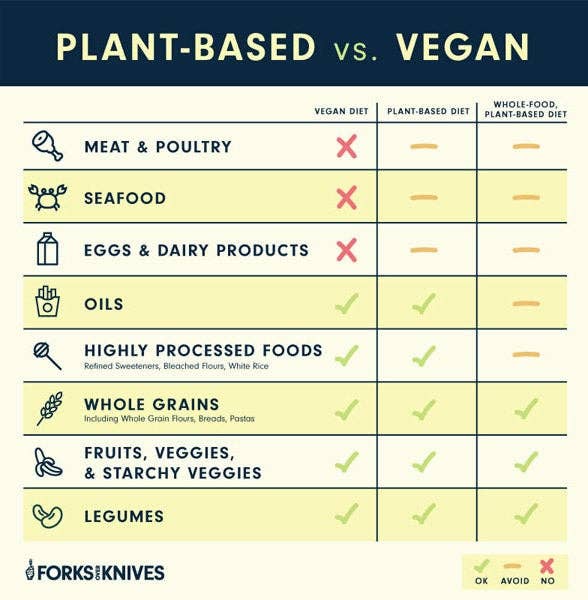 Plant-astic Plant Based Meal Plan