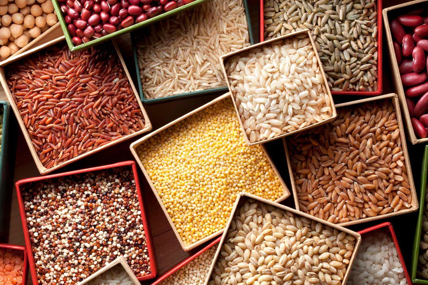 An array of vegan sources of protein, including whole grains and lentils