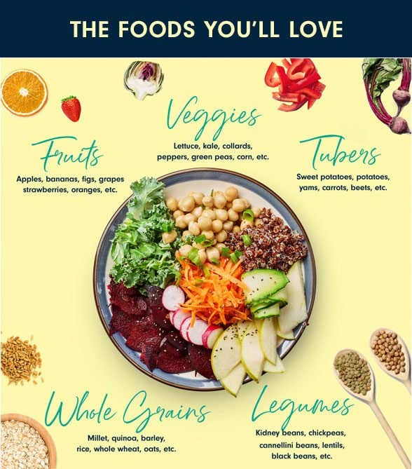 A diagram showing the different types of healthy foods.