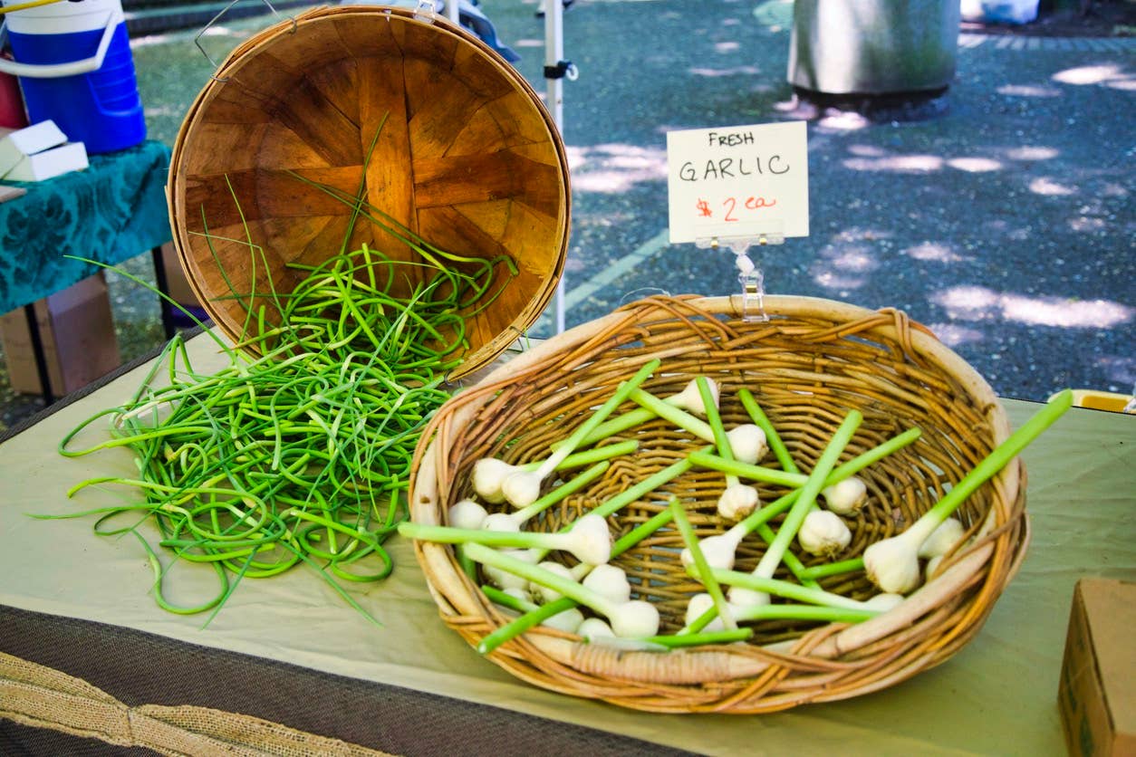 Green Garlic, Garlic Scapes, Ramps—What's the Difference?! - Forks
