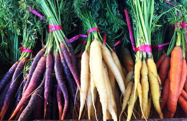 All About Carrots! Rainbow Hues, Using The Tops, And What Are Baby 