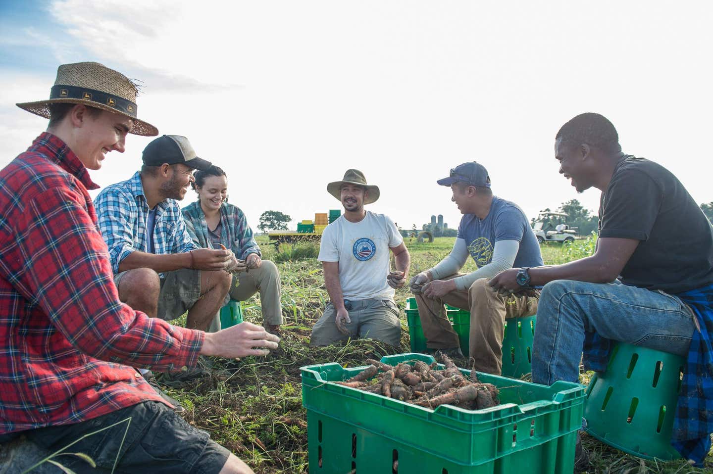 Farmers at the Rodale Institute gathered around harvesting organic carrots