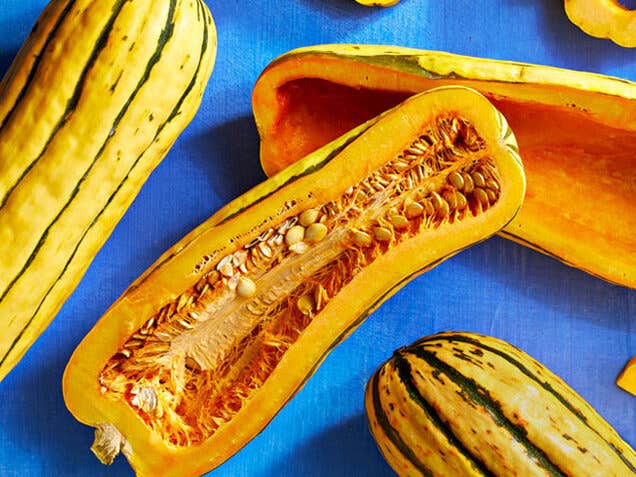 delicata squash cut into different shapes, including boats and rings, on a blue background