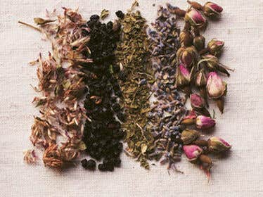 dried flowers herbs and other plant ingredients shown grouped together to create four tea blends by Pamela Anderson