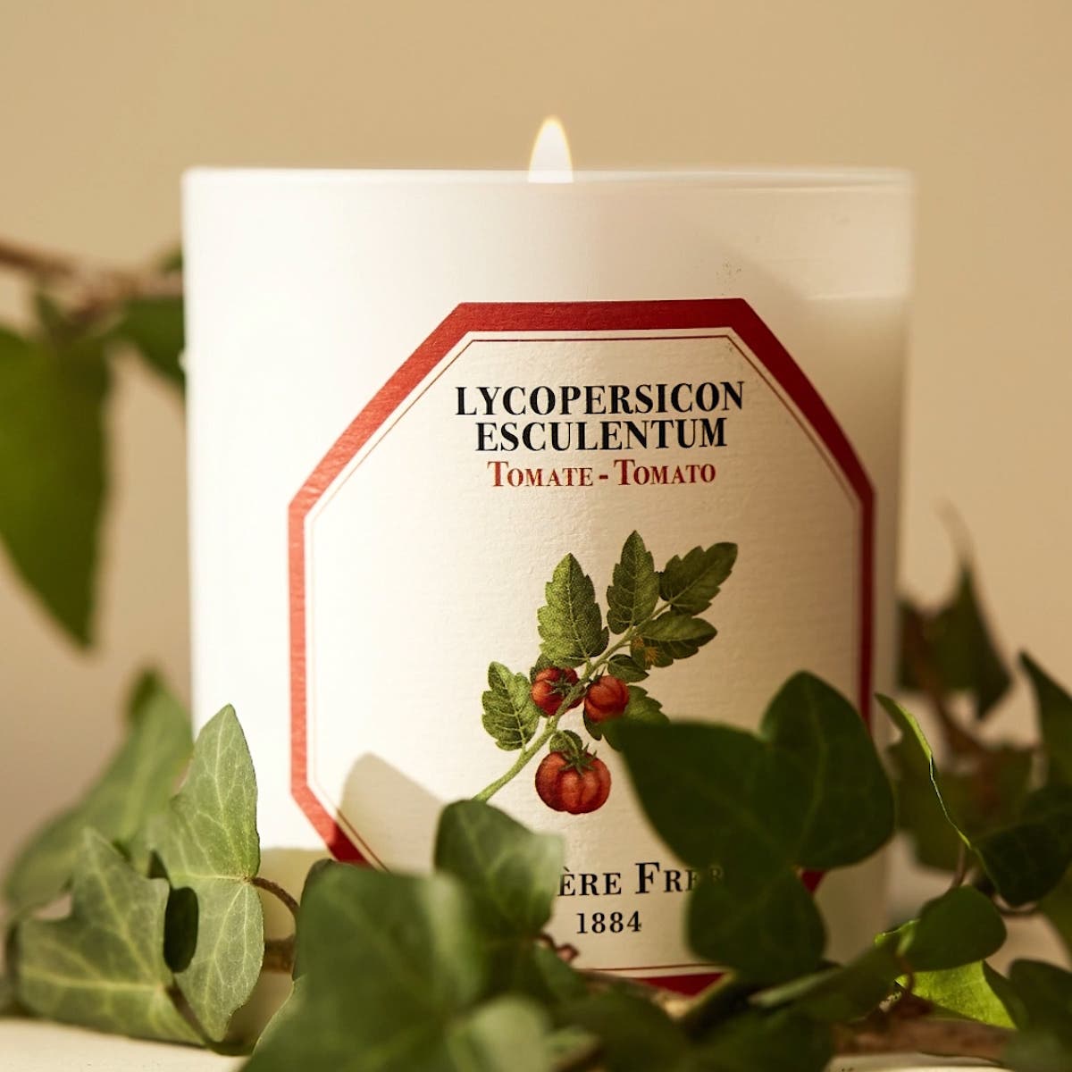 The Carrière Frères Tomato Scent candle, shown with tomato vines wrapped around it