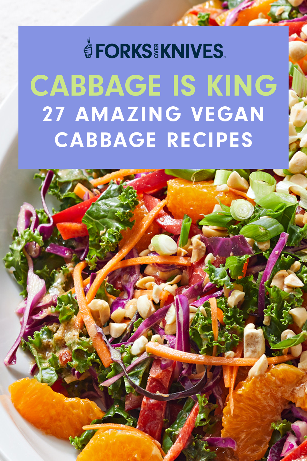 In the background is a closeup of a colorful slaw. Text reads, "Cabbage is King- 27 Amazing Vegan Cabbage Recipes"