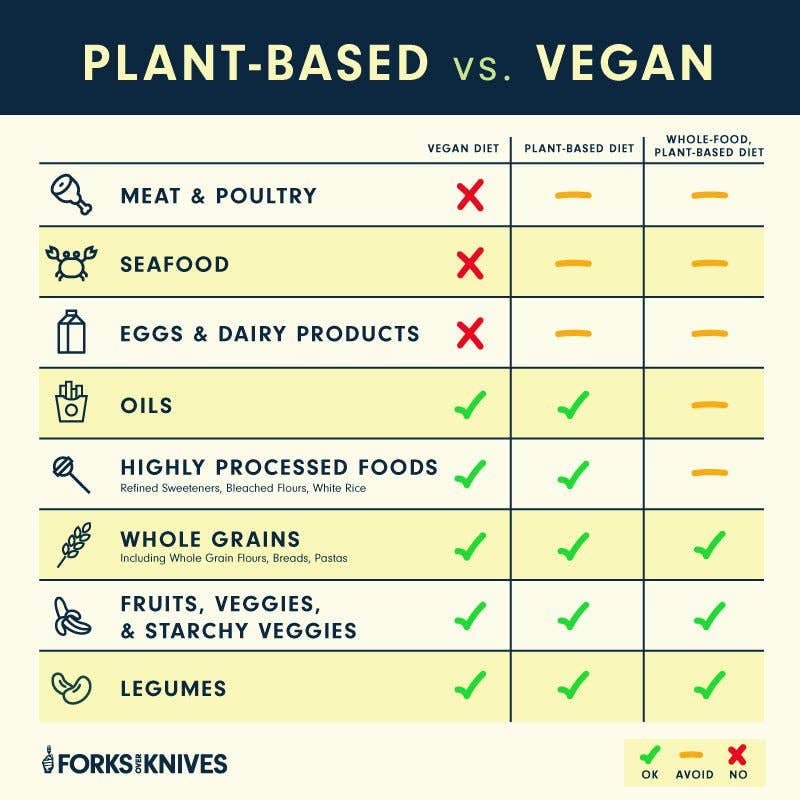 Plant-Based vs. Vegan - A chart explaining the difference in what vegans and plant-based diet eaters eat