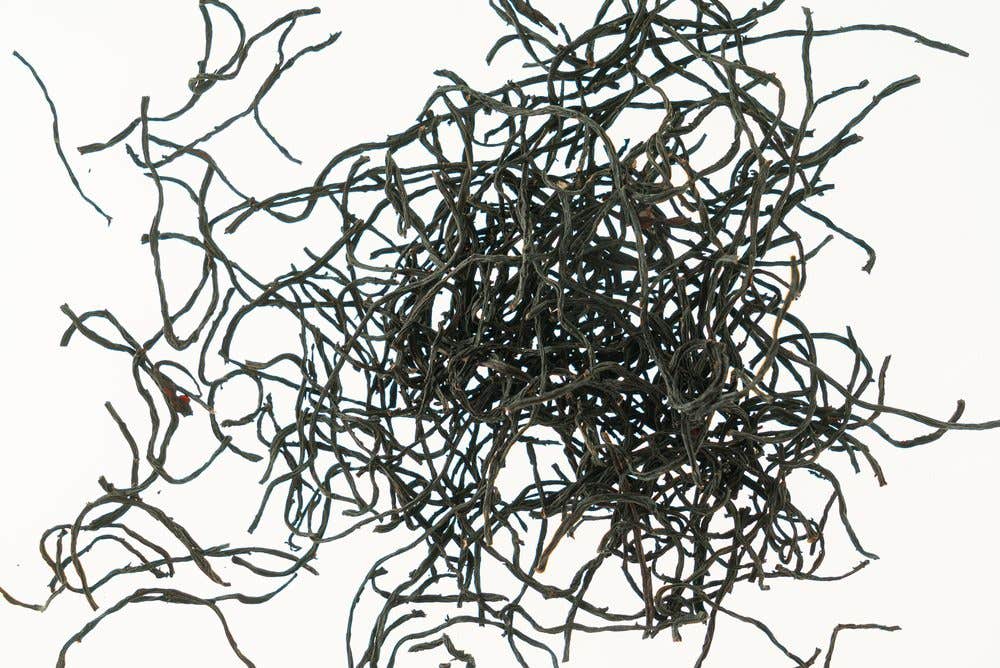 hijiki seaweed on the white background