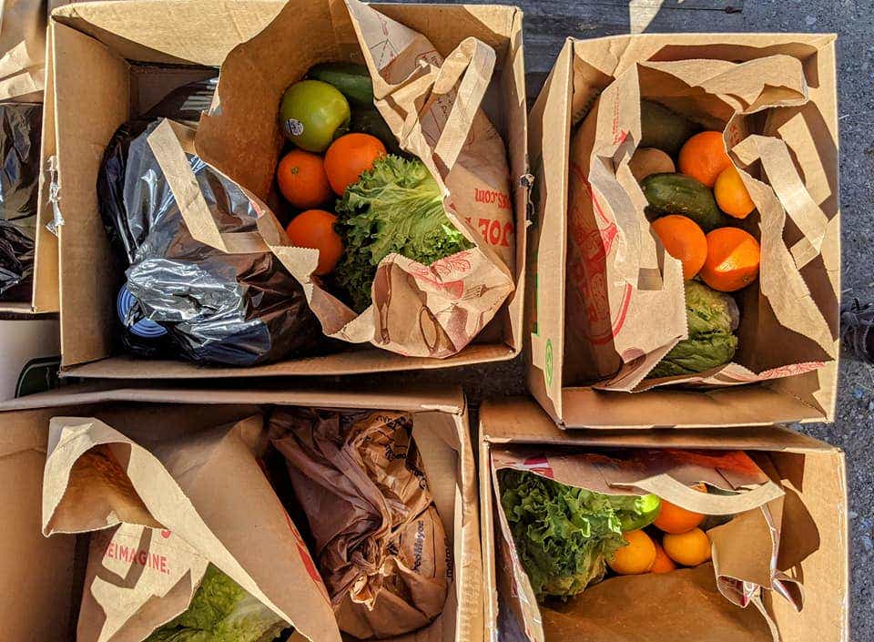 bags of groceries from a vegan food bank