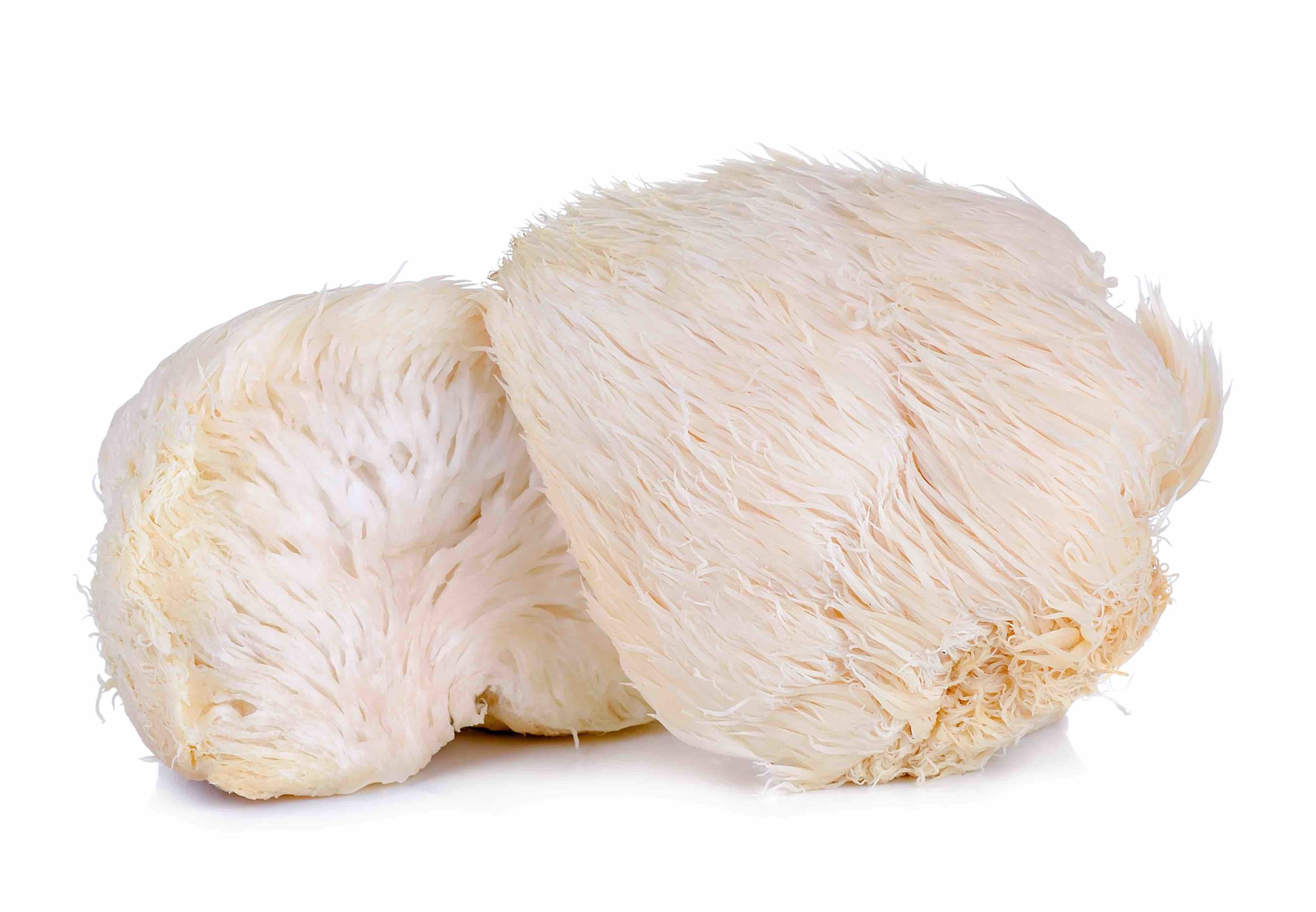 12 Types Of Mushrooms And How To Use Them - Forks Over Knives