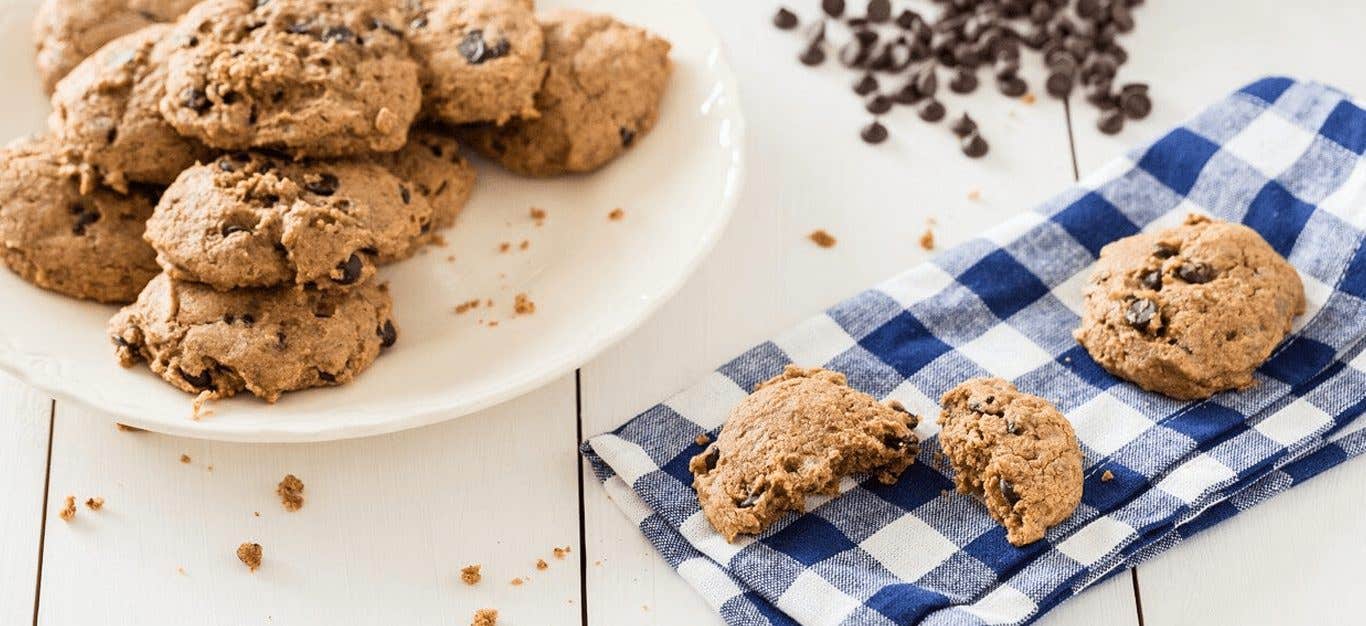 A plate of chocolate chip cookies