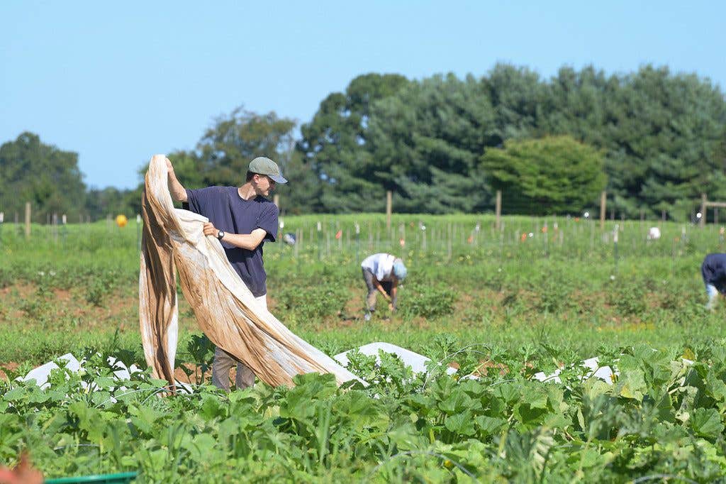 St Lukes Rodale Institute Farm 