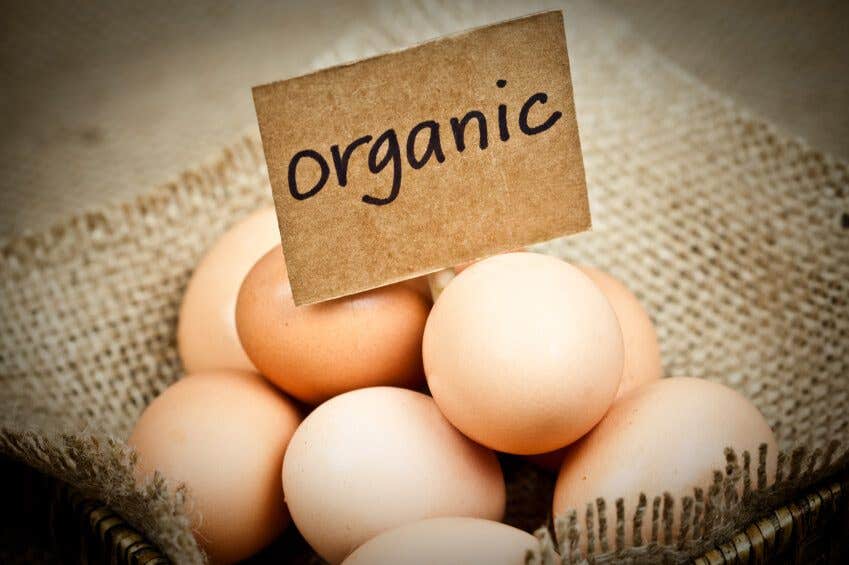 A pile of eggs on rough hessian fabric, with a handwritten sign that reads, "organic."