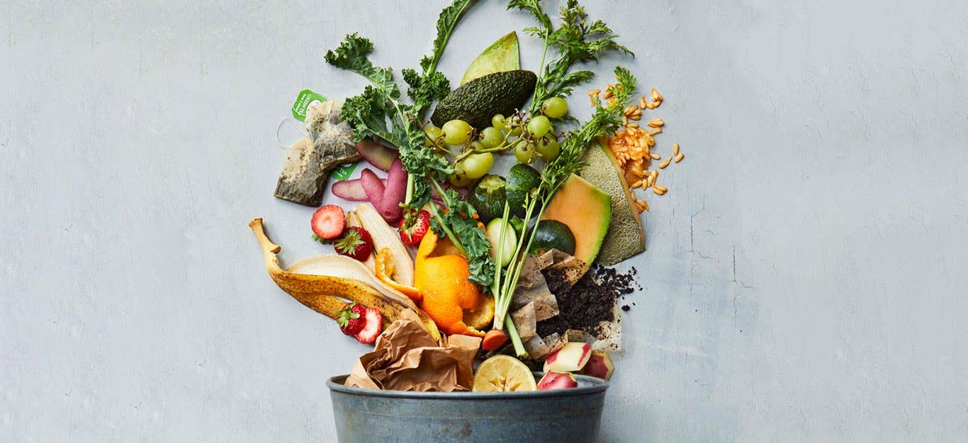 composting pail -- a metal bucket with fruit and vegetable scraps pouring artfully out, on a grayish white background