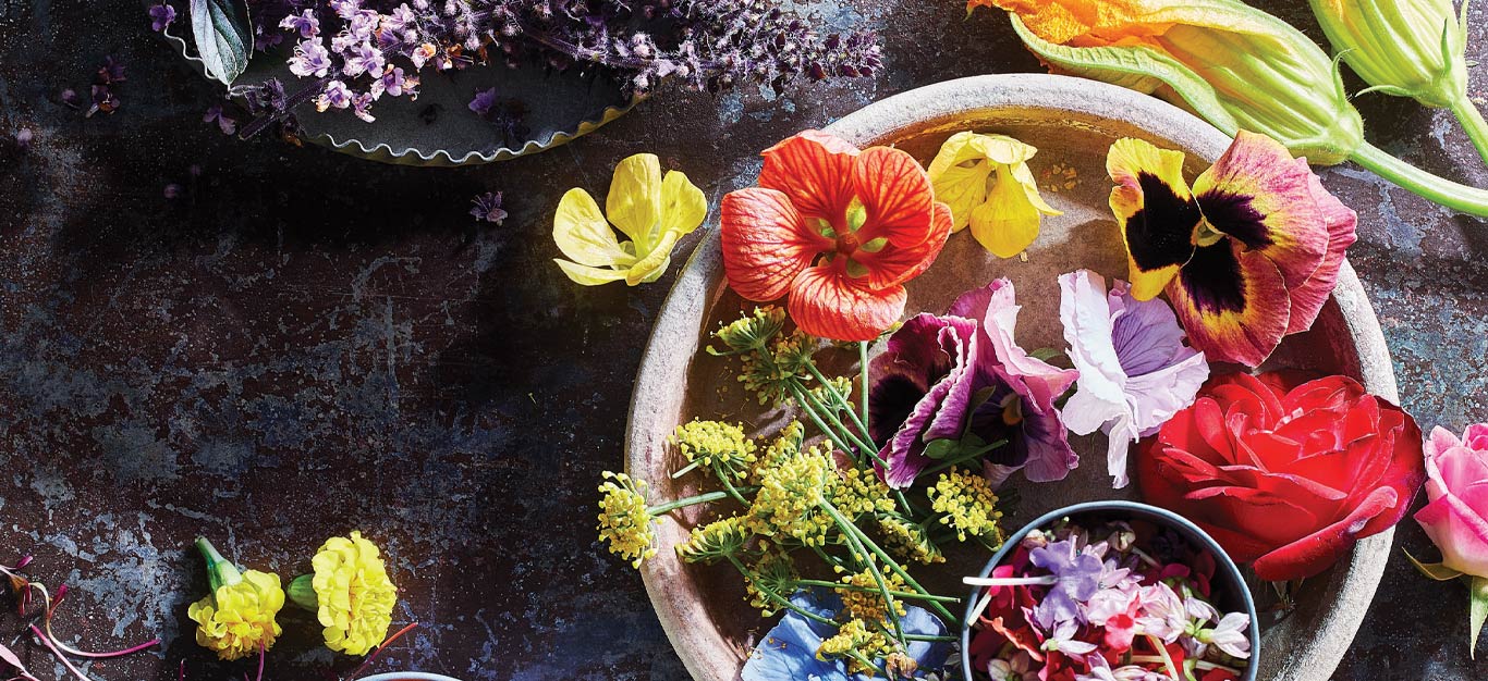 Edible Flowers and Herb Blooms