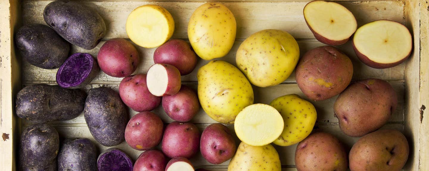 different varieties of potatoes