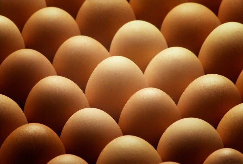 A close-up of large brown eggs standing on their ends