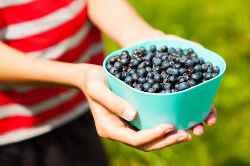 Boy holding blueberries in a bowl