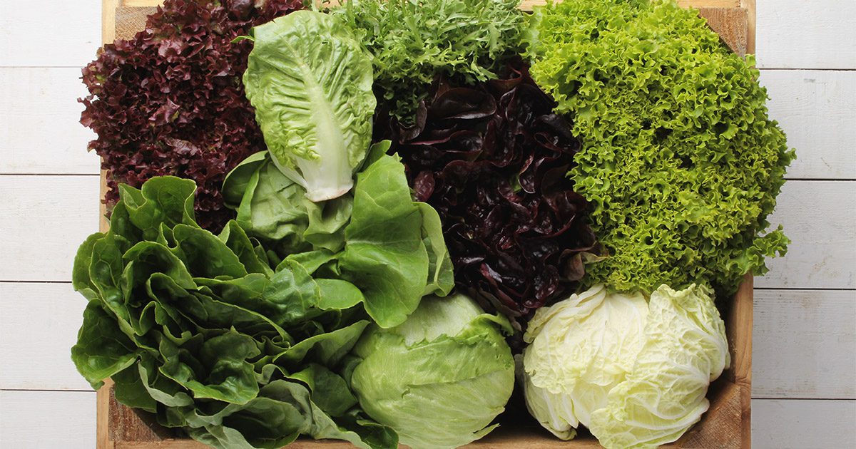 Types of Lettuce and How to Use Them - Forks Over Knives