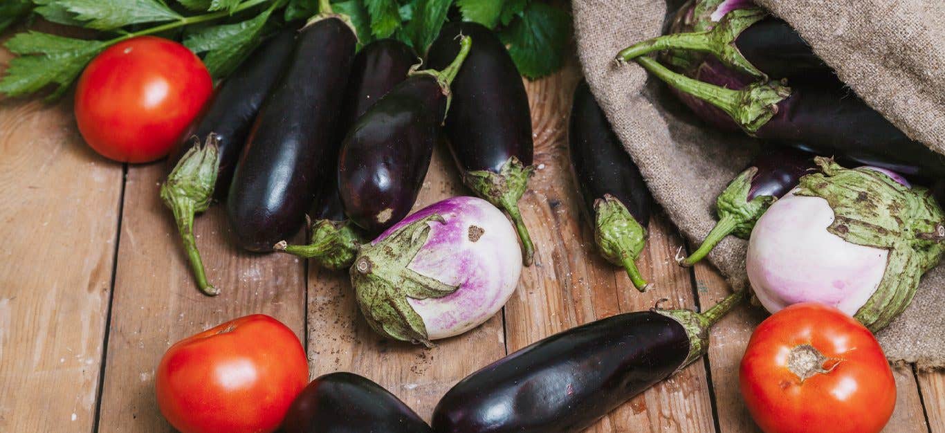 an array of nightshade vegetables -- including eggplant, tomato -- on a wooden table