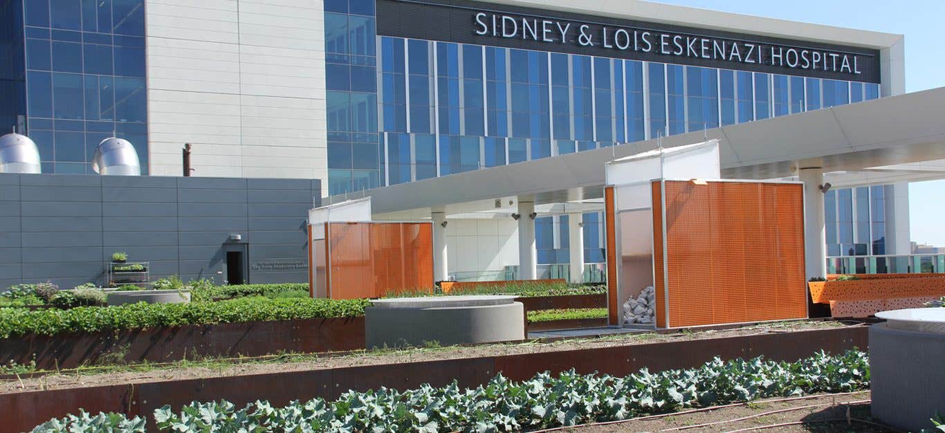 Sky Farm Hospital at Eskenazi