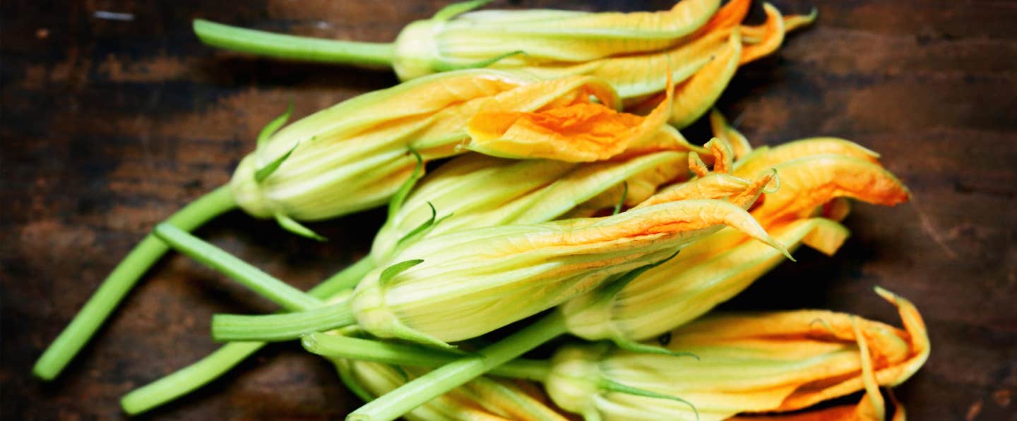 squash blossoms