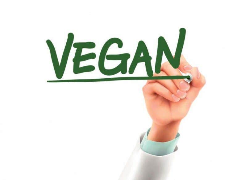 Doctor writing the word "vegan" on a white board