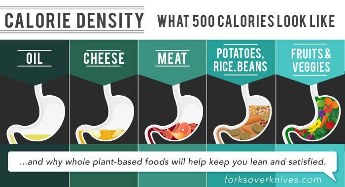 calorie density