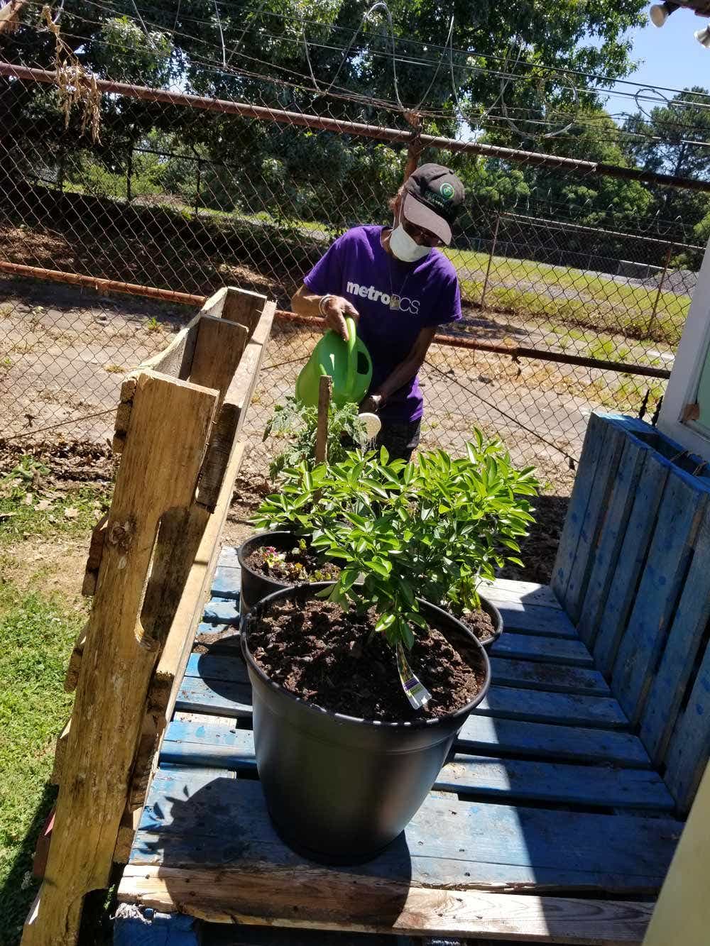 Margaret Rivera tends to fresh herbs in a community garden outside the Feeding GA Families offices.