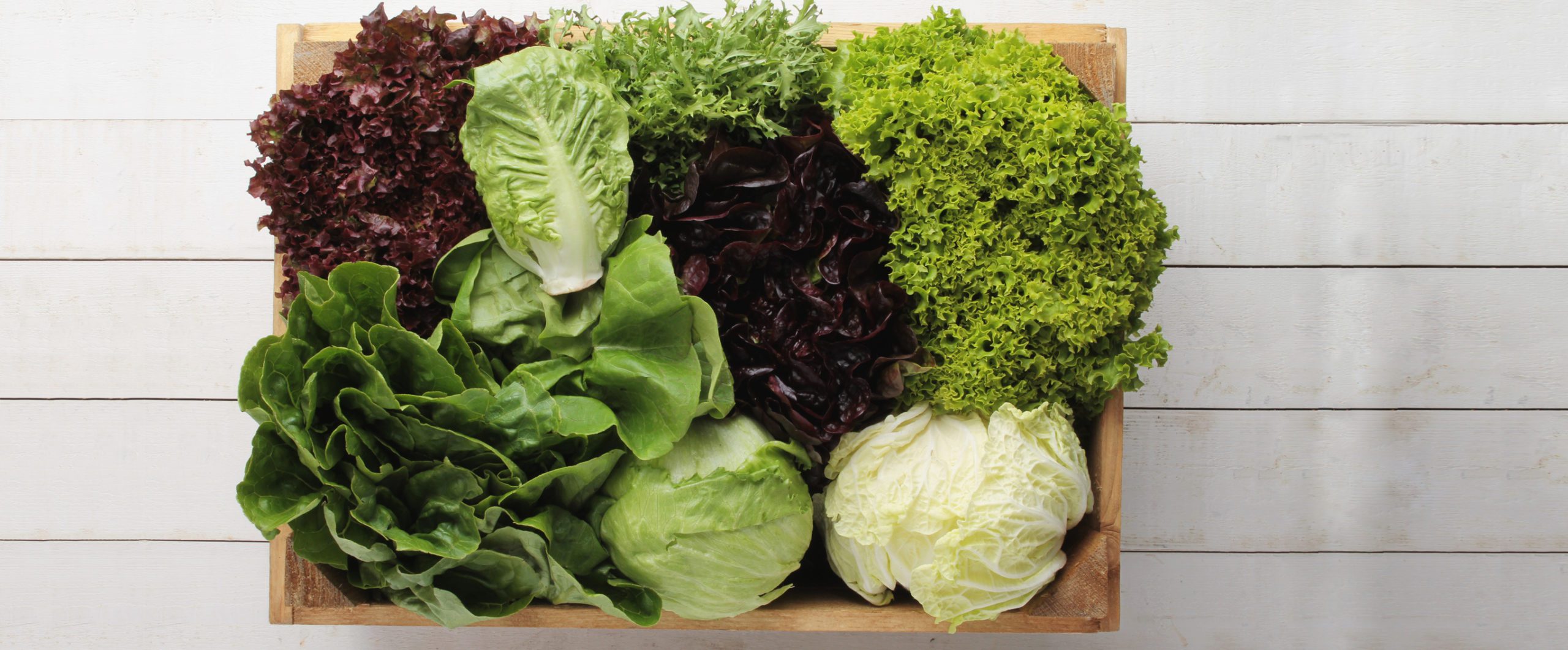 Varieties of Lettuce and Uses for Each | Forks Over Knives