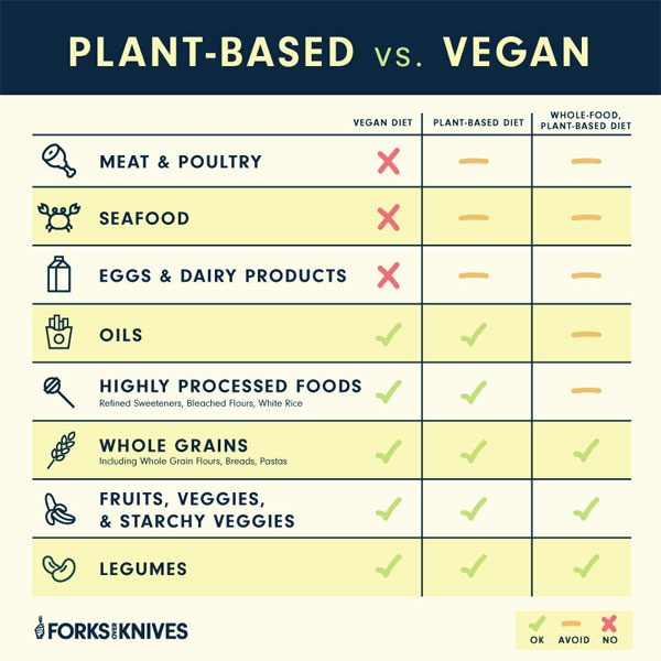 Breaking Down Plant Based Diets - MeowMeix